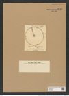 Coscinodiscus concinus var. jonesianus (Grev.) Rattr. (de-Toni-Nr.: Genus 202, Species 5002) Zeichnungen Sammlung Grunow Nr. 8716 (NHMW-BOT-W0378288)
